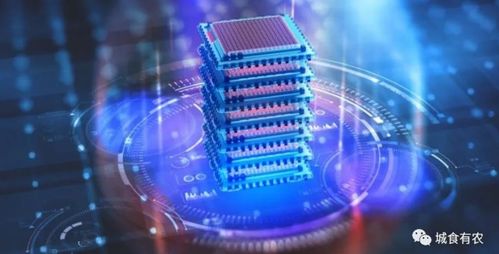 量子計算 開啟糧食安全新時代的“超能力”技術